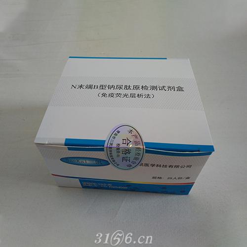 潍坊华盛生产厂家直销+N末端B型钠尿肽原试剂盒