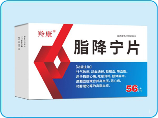 脂降寧片