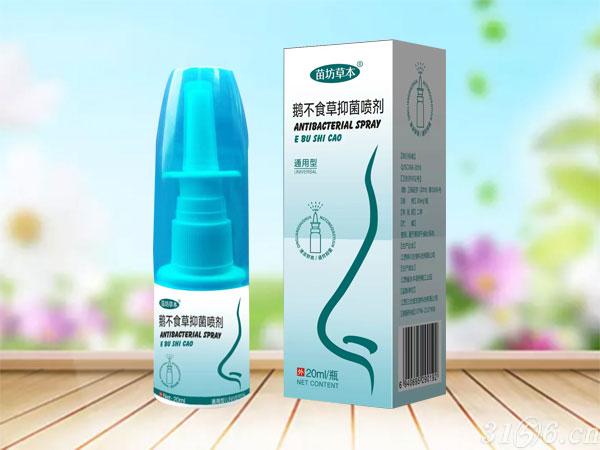 鵝不食草抑菌噴劑招商